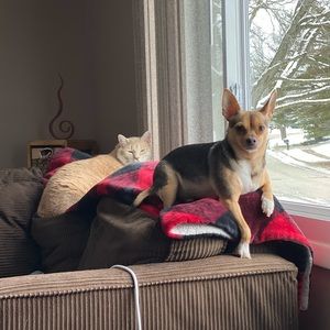 Meet your Posher, Sharon